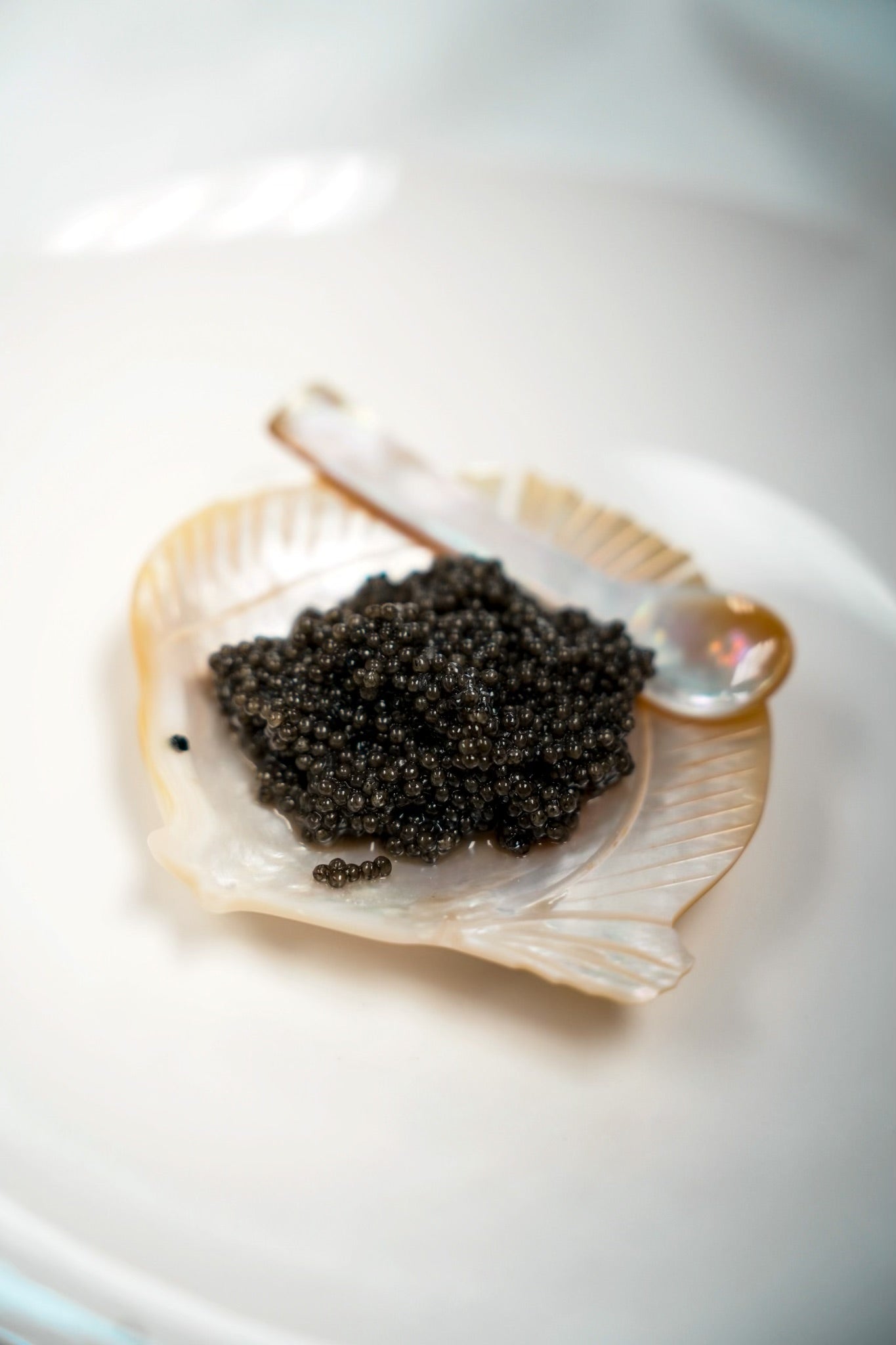 American Paddlefish Caviar