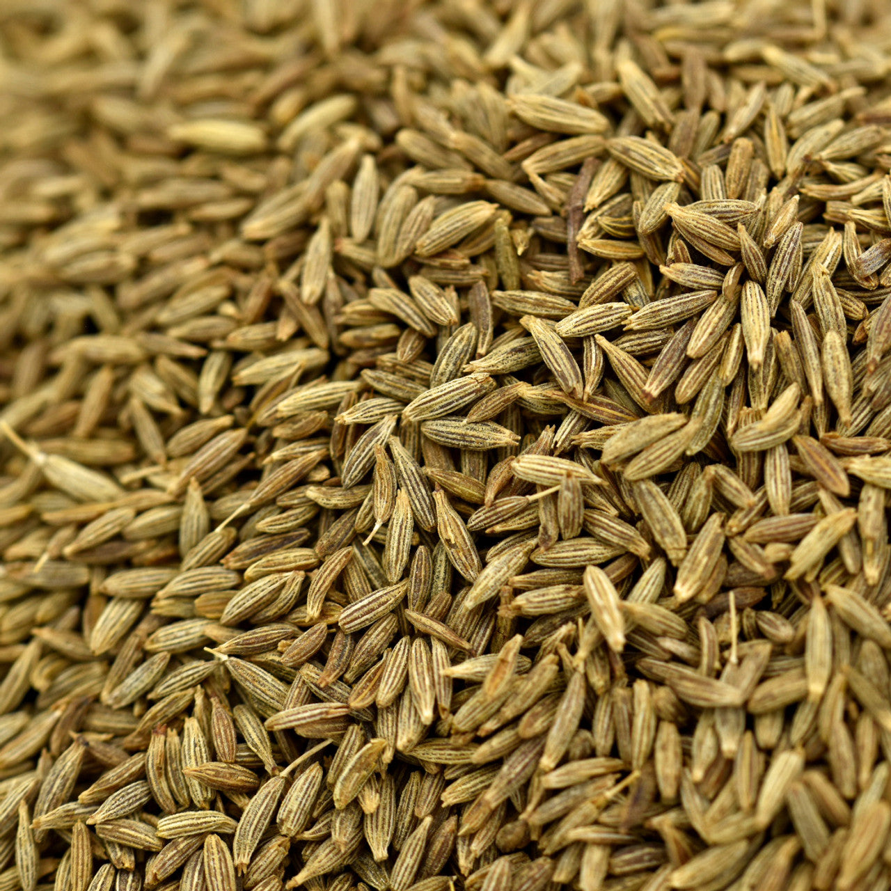 Cumin Seed Whole