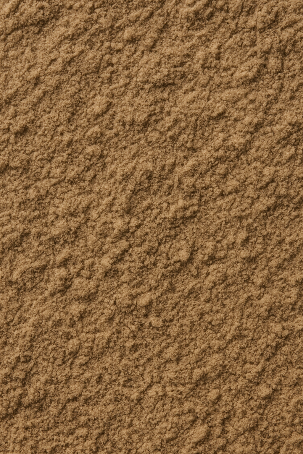 Shiitake Mushroom Powder