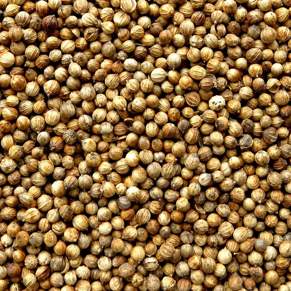 Coriander - Whole (1 oz)