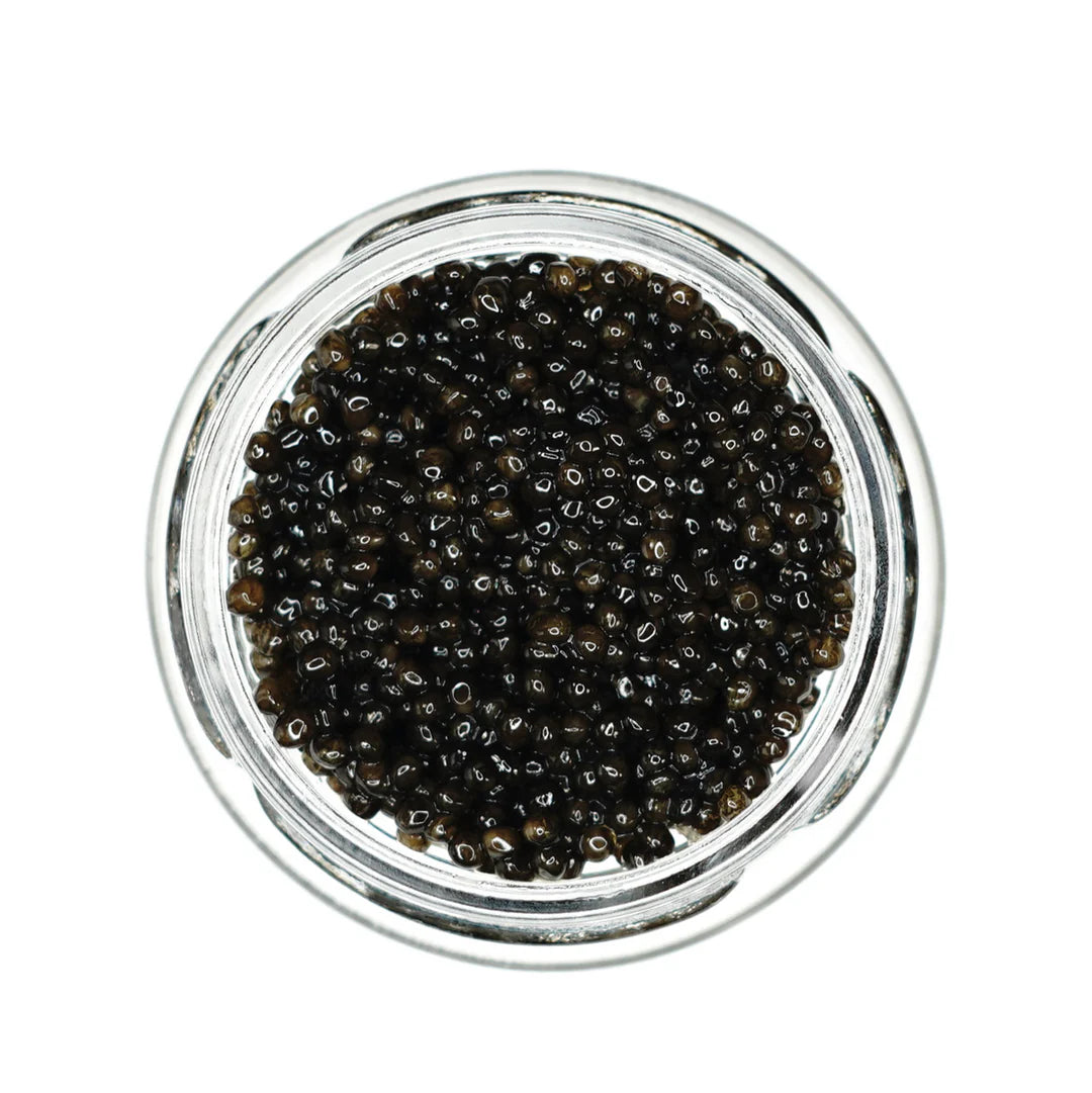 Siberian Sturgeon Caviar