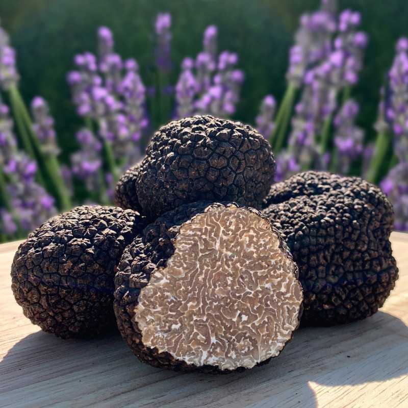 Truffles & Mushrooms