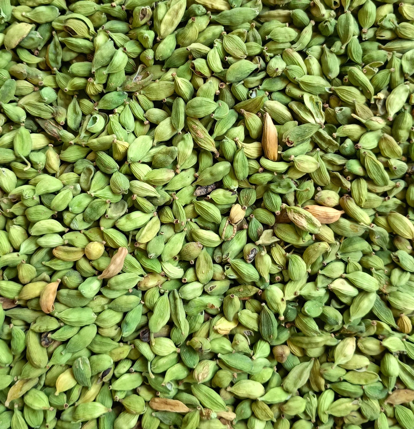 Cardamom