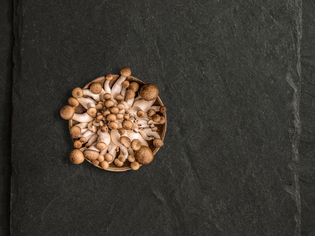 Hon Shimeji Mushrooms