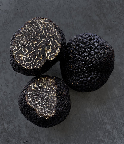 Winter Black Truffle