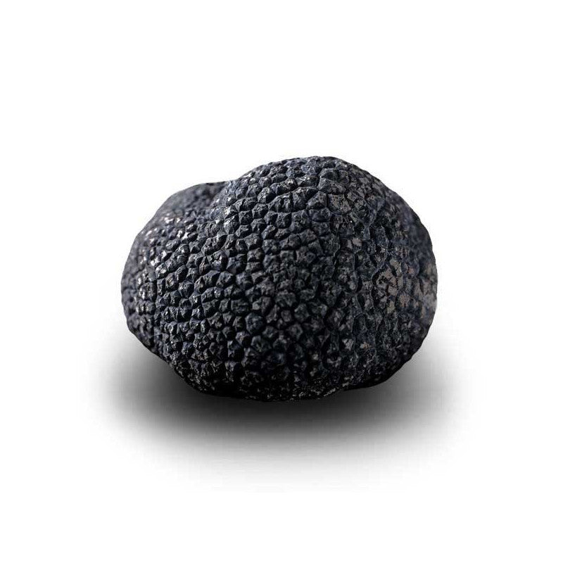 Winter Black Truffle