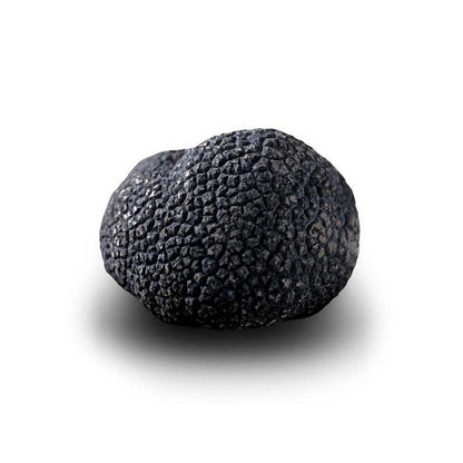Winter Black Truffle
