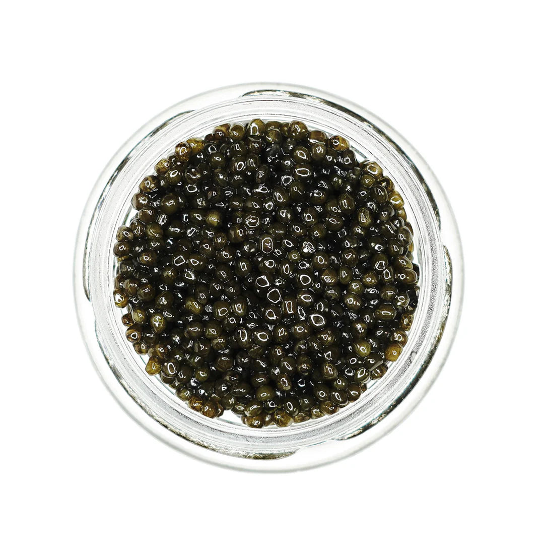 Amber Osetra Sturgeon