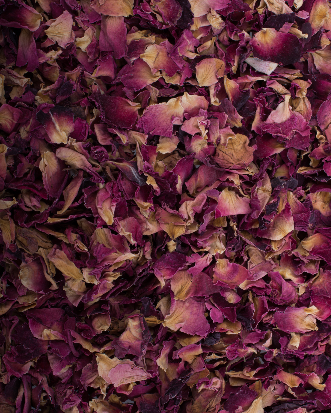 Rose Petals